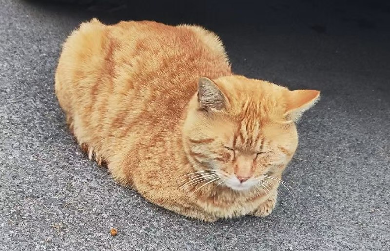 2024：在变与不变之中做一颗不动的石头