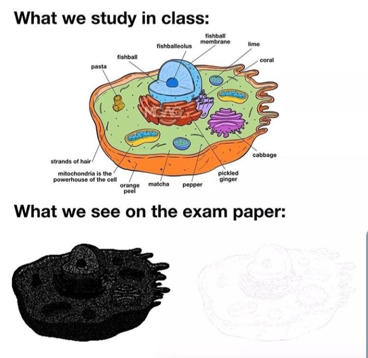 消息来源: 