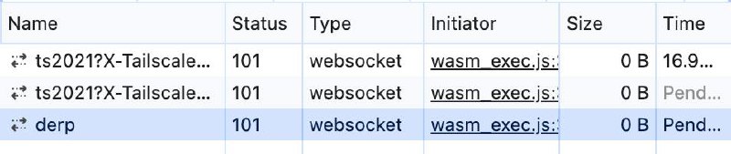 TIL: 可以通过 WebSocket 连接到 Tailscale