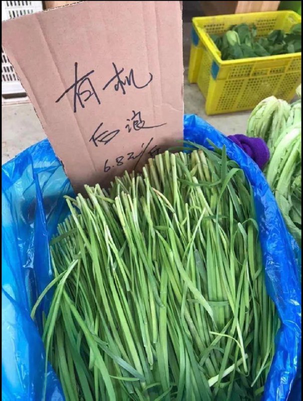 有机后浪 6.8/500g ，，消息来源: 