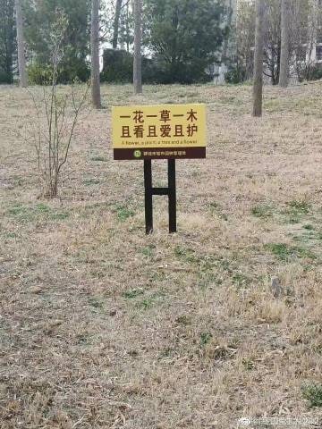 补充没有转发完的图片补充没有转发完的图片