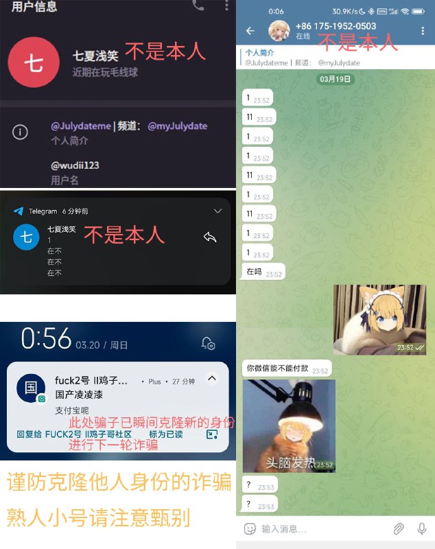 最近观察到 TG 上出现的克隆 userbot（例如图示的 @wudi1123 @wudii123），会冒充别人的身份进行私聊诈骗，凡涉及金融利益相关的话题，请大家注意仔细甄别