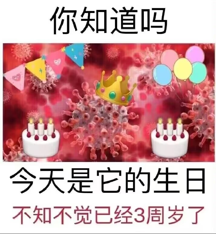*虽然这图最早出现在11月8日，但是更被广泛认可的起始日期似乎是在今天