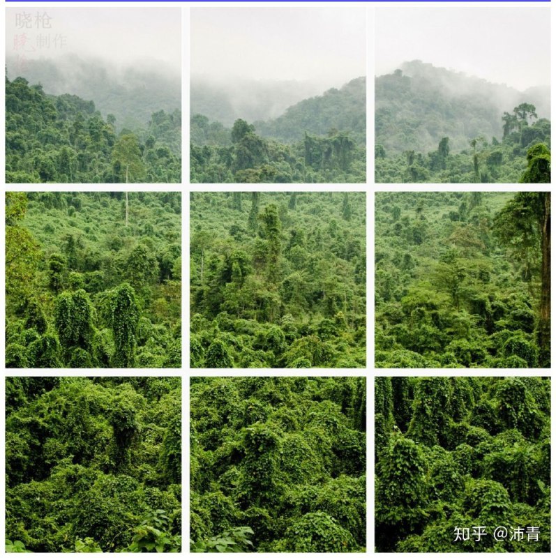 请选择以上图片中含有 境外势力 的图片以上是小粉红这两天的心理感受原图来源见水印消息来源: 