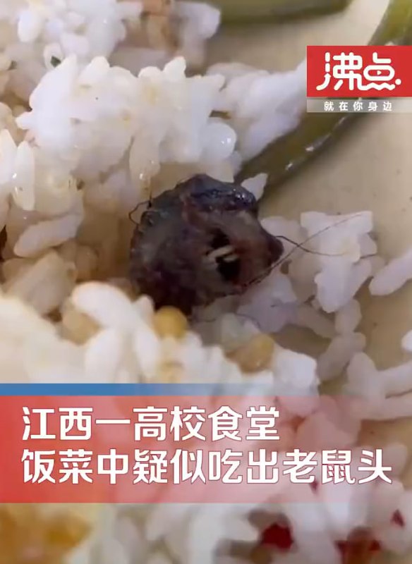 江西省通报江西工职院“6·1”食品安全事件调查处理情况，判定异物为老鼠类啮齿动物的头部