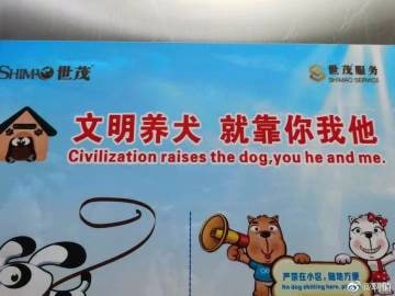 补充没有转发完的图片补充没有转发完的图片