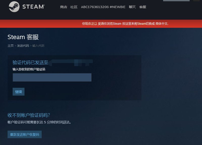 Steam 重新定义英语
