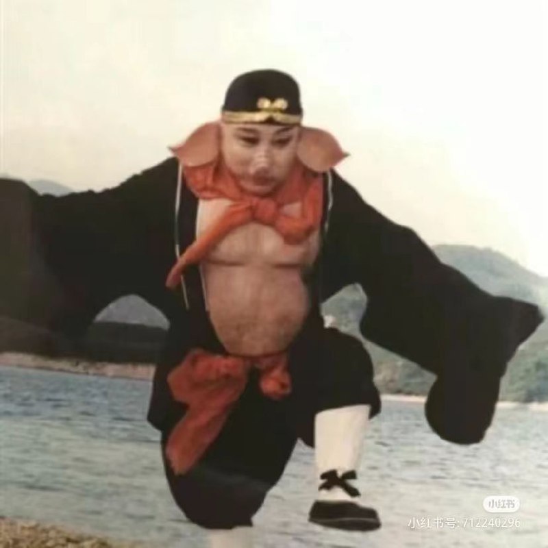 #涩图看不看 兽耳、蝴蝶结、敞胸、露肚子、白色小腿袜、cosplay