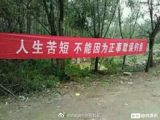 消息来源: 