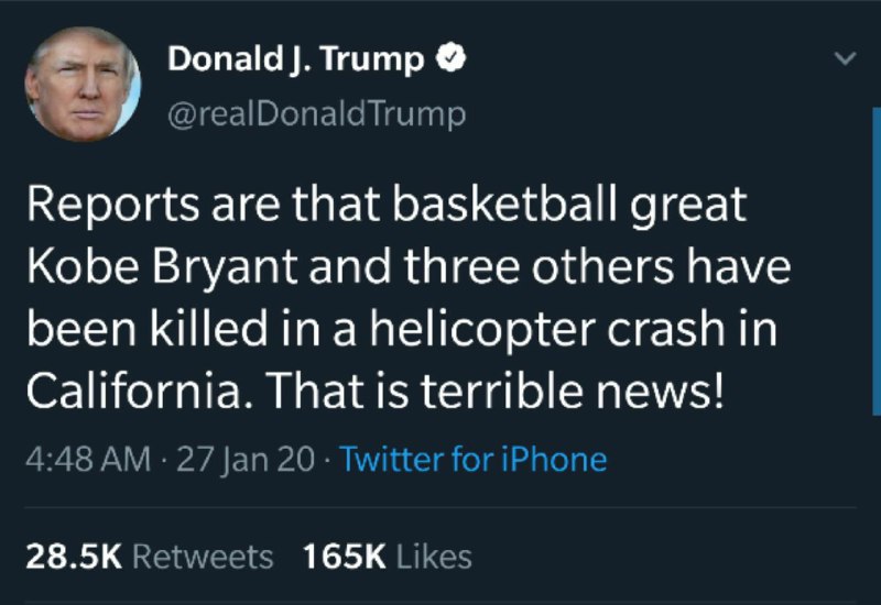 伟大的生命也如此脆弱