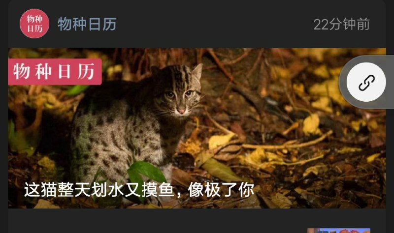 @所有人消息来源: 